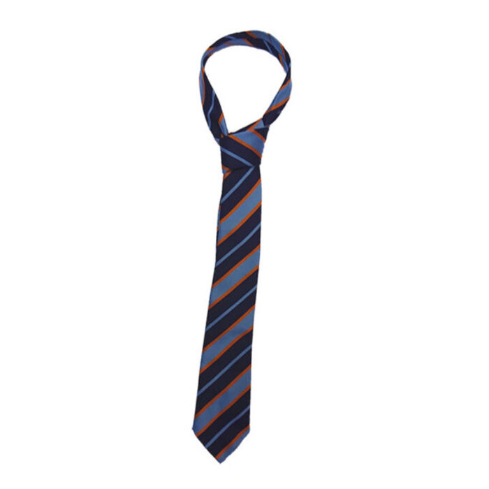 Pitmaston School Tie Thumbnail